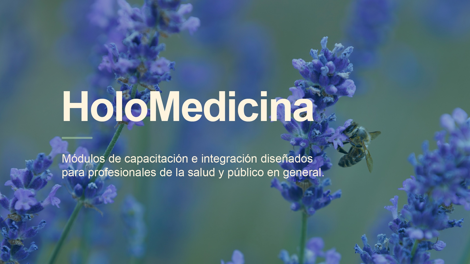 Holomedicina
