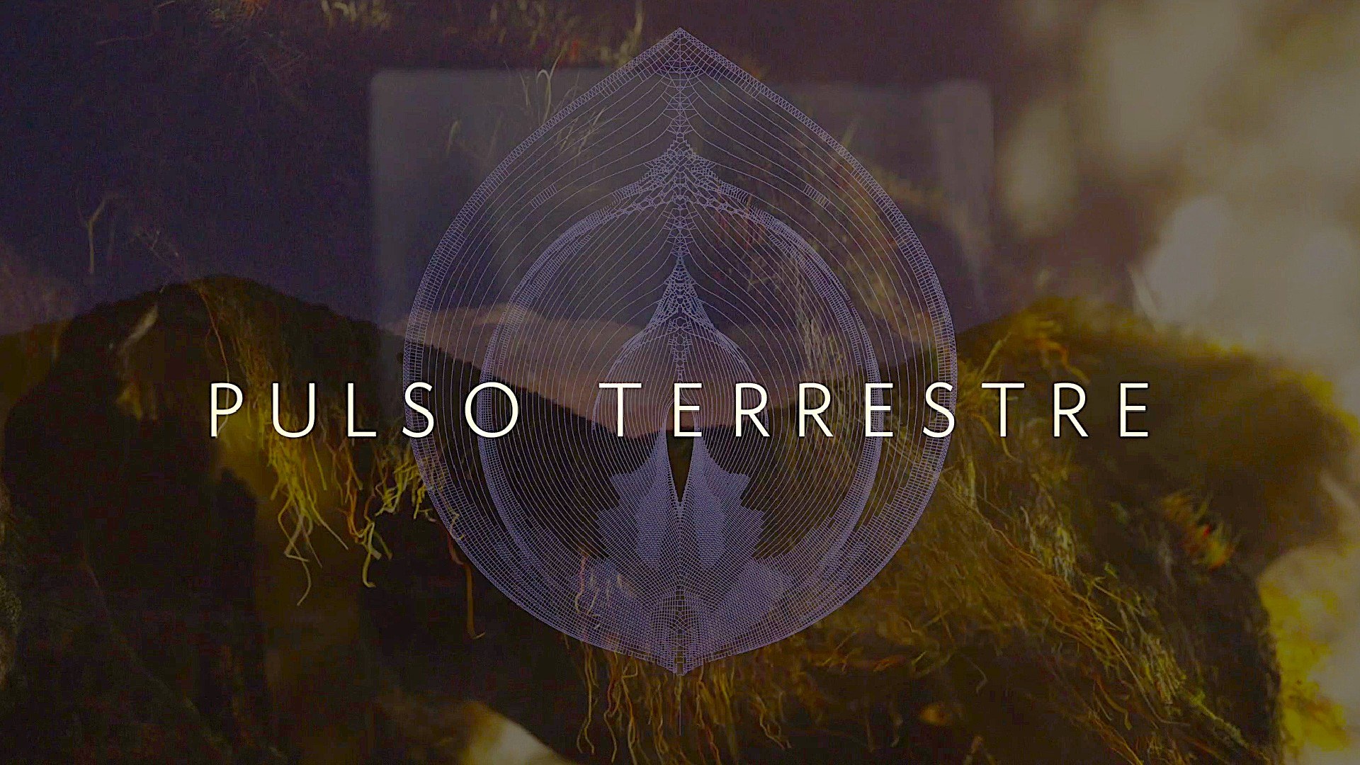 Pulso Terrestre