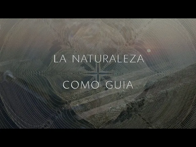 Pulso Terrestre